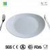 CHLNP120 opal glass steak plate